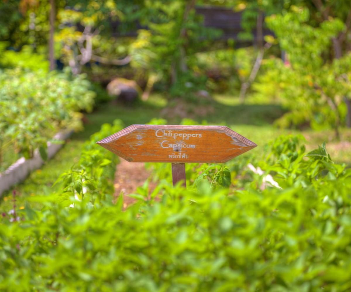 Fair House Villas & Spa - Fair House Villa - General 11