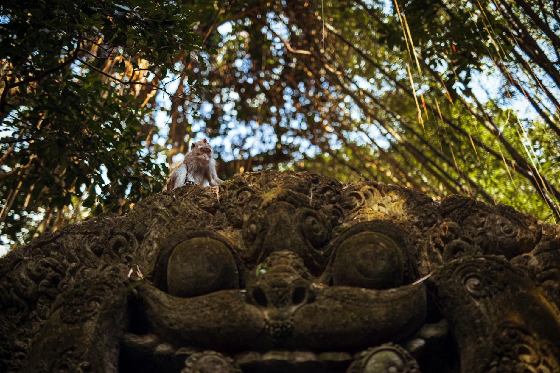 Alas Harum Agro Tourism, Ubud