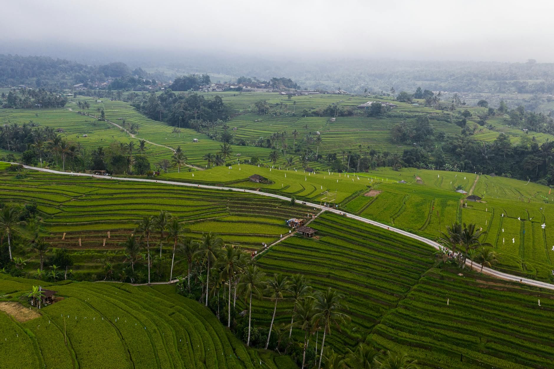 Bali landscape