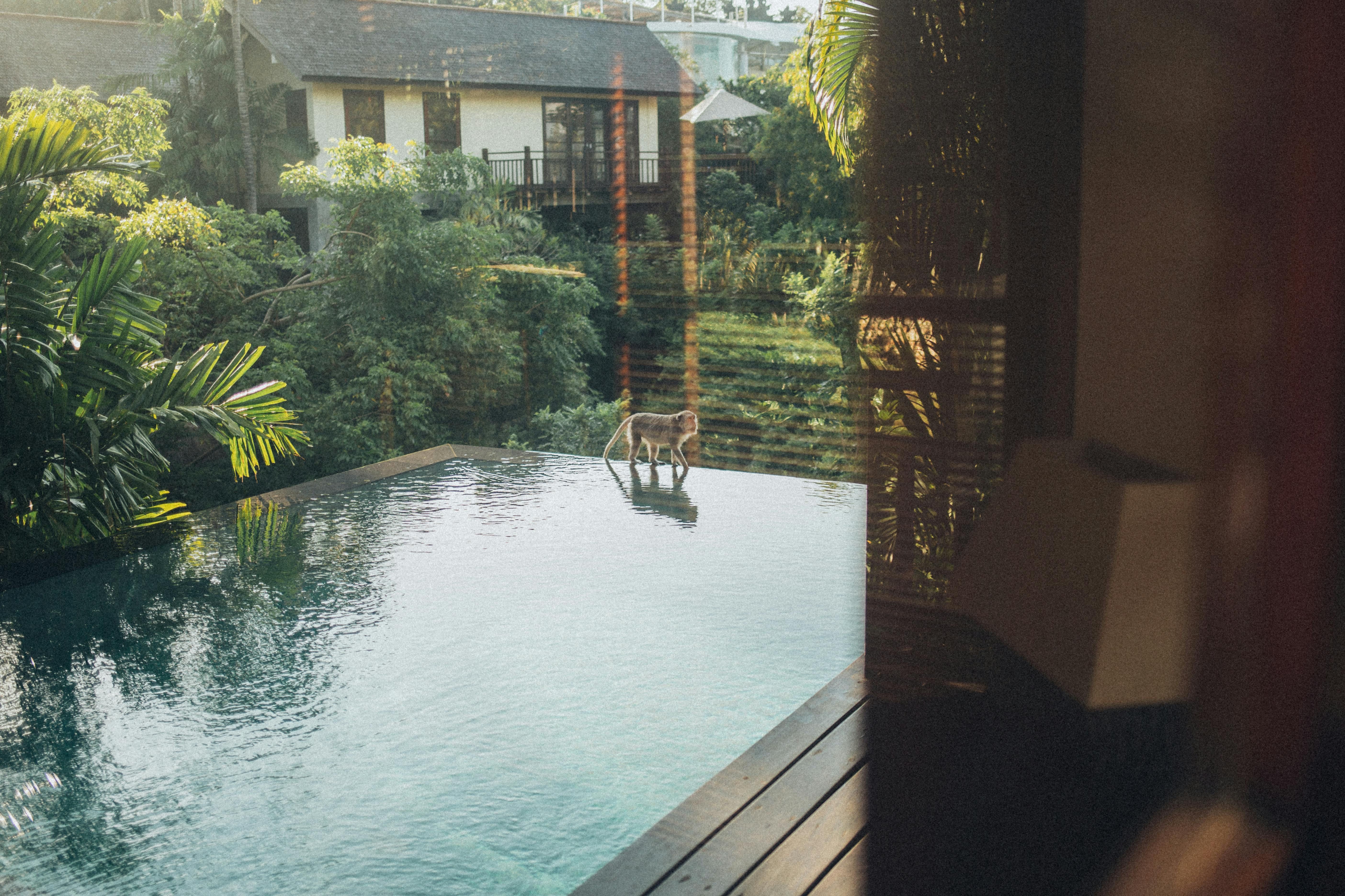 Jimbaran hillside villa infinity pool ocean view