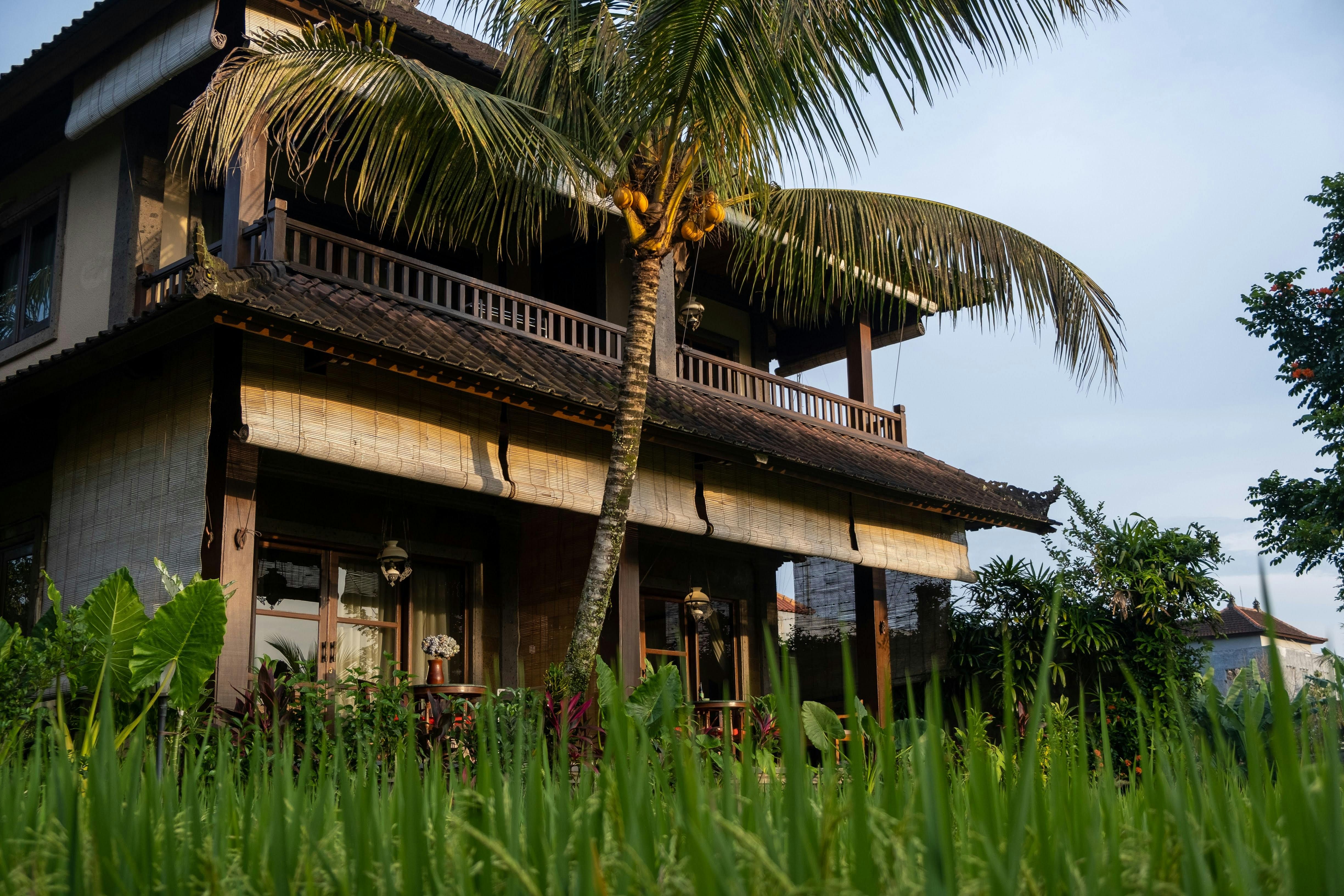 Bali — Charming Balinese architecture surrounded by tropical greenery and palm trees, capturing a serene vacation vibe.