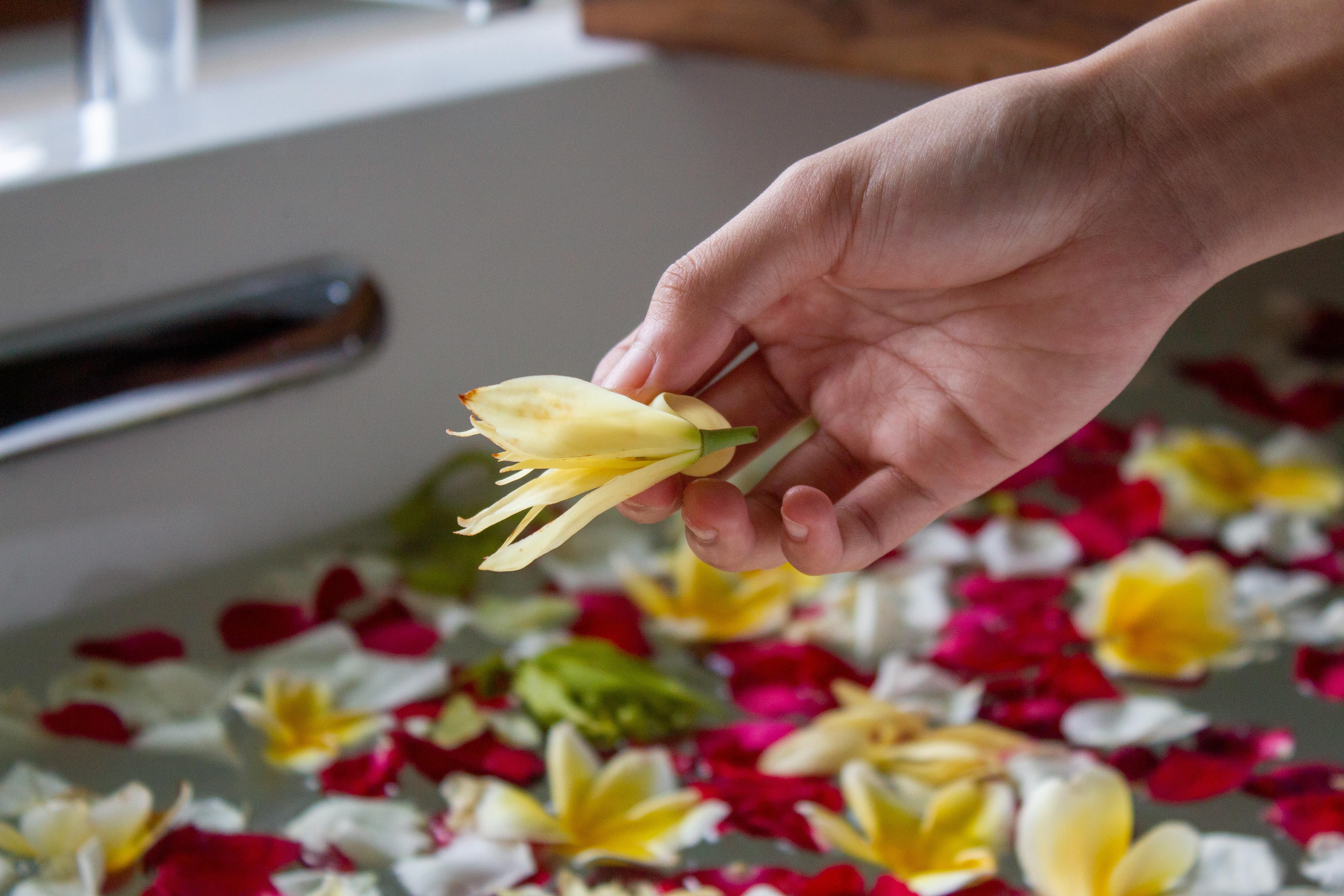 Bali — Elegant hand holding a flower over a bath filled with petals in Bali spa setting, exuding tranquility.