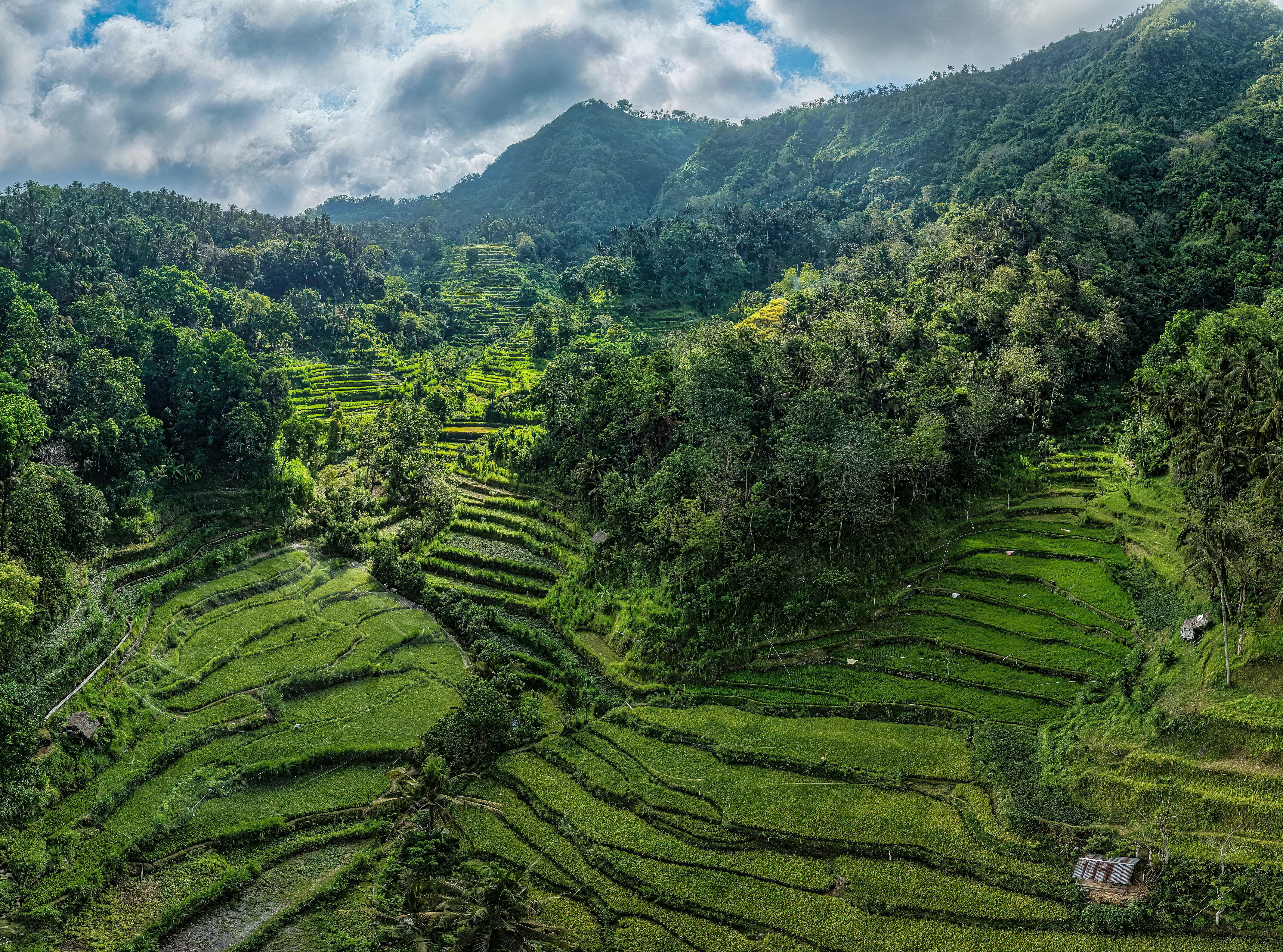 Bali — Aerial view of lush green rice terraces amidst mountains in Bali, Indonesia.