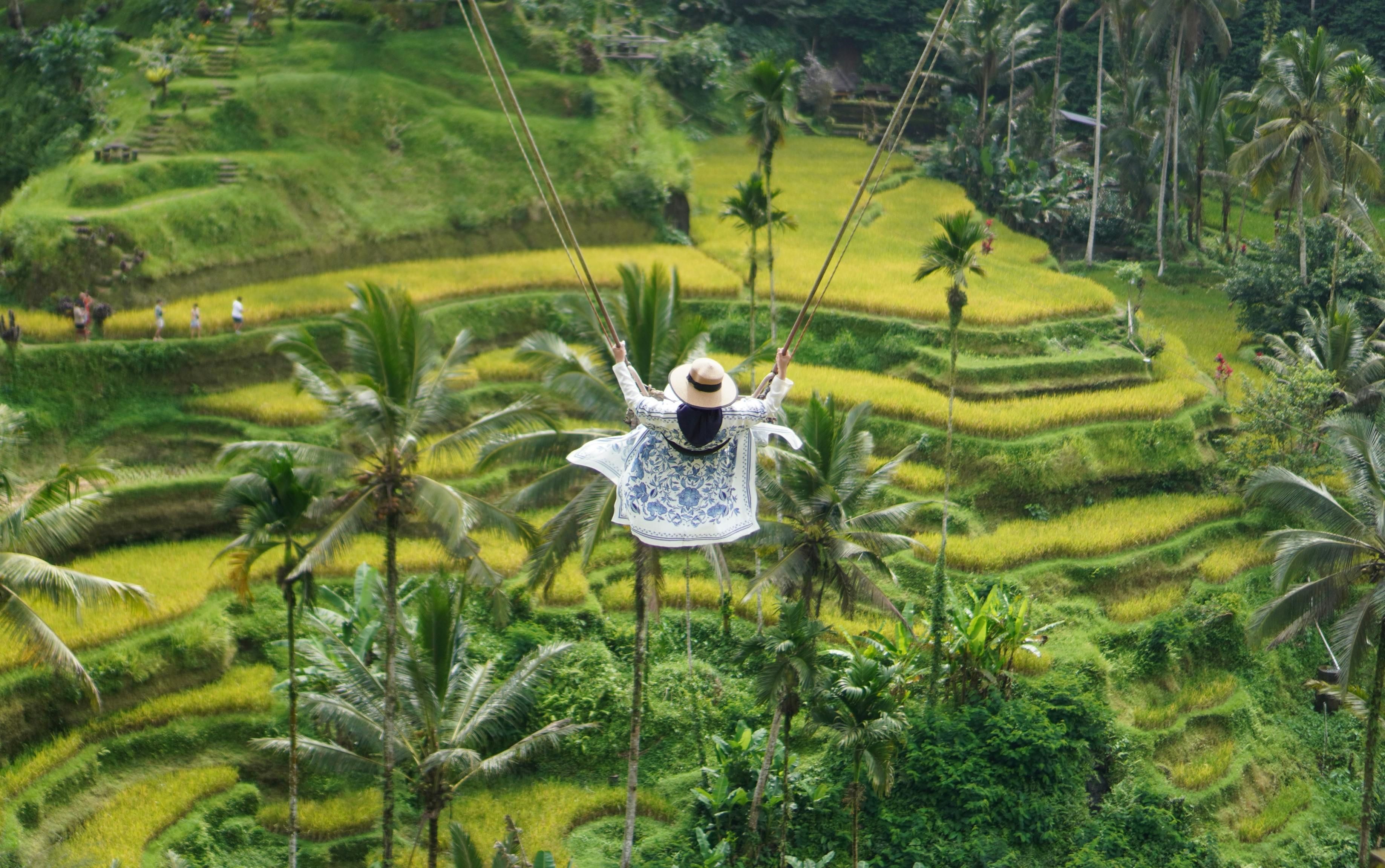 Bali — Person swings above lush green rice terraces in Ubud, Bali, creating a captivating scene.
