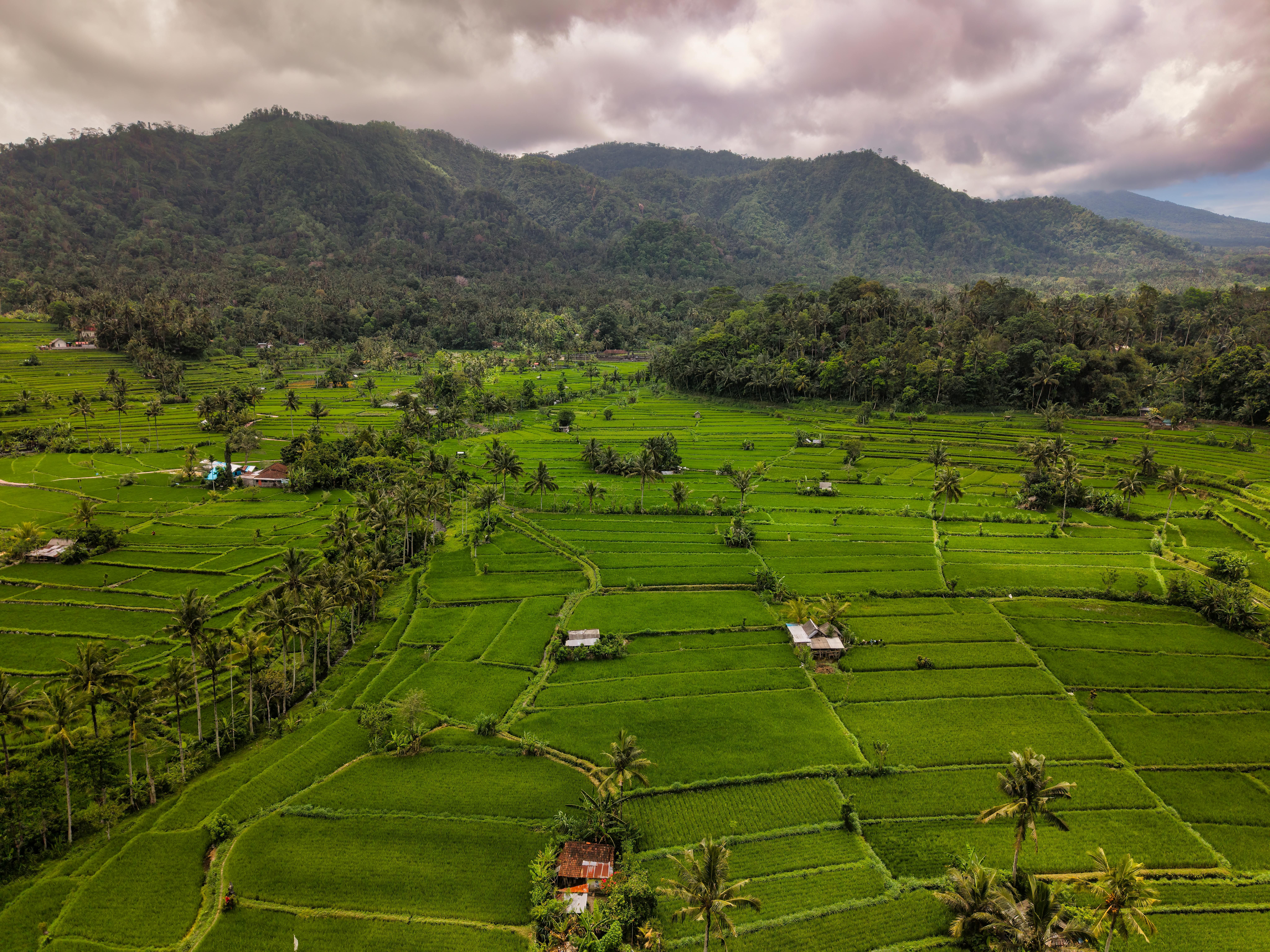 Bali — Aerial view of vibrant green rice terraces in Bali, framed by mountains and cloudy skies.
