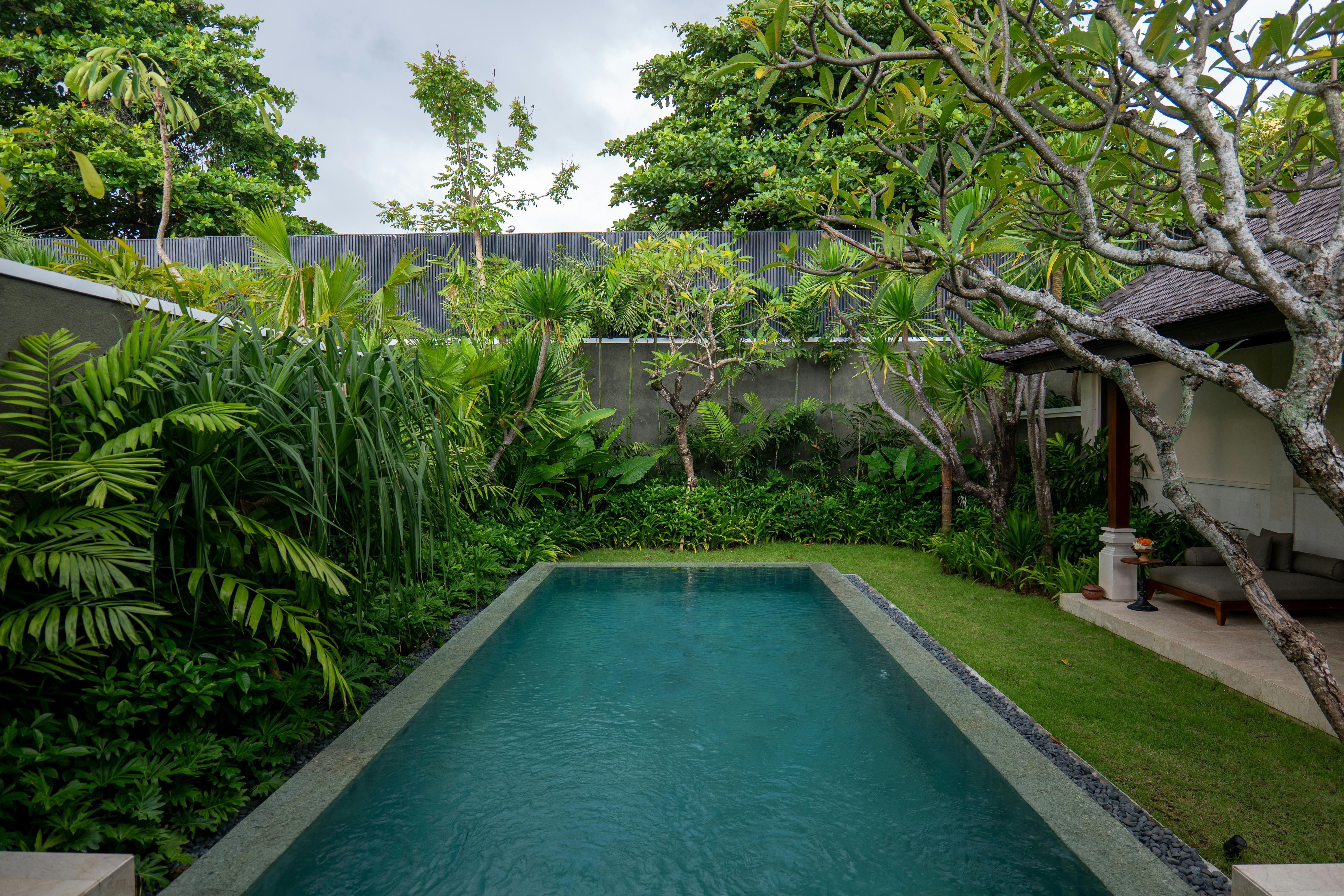 Bali — Luxurious villa pool surrounded by lush tropical greenery in Bali, Indonesia.