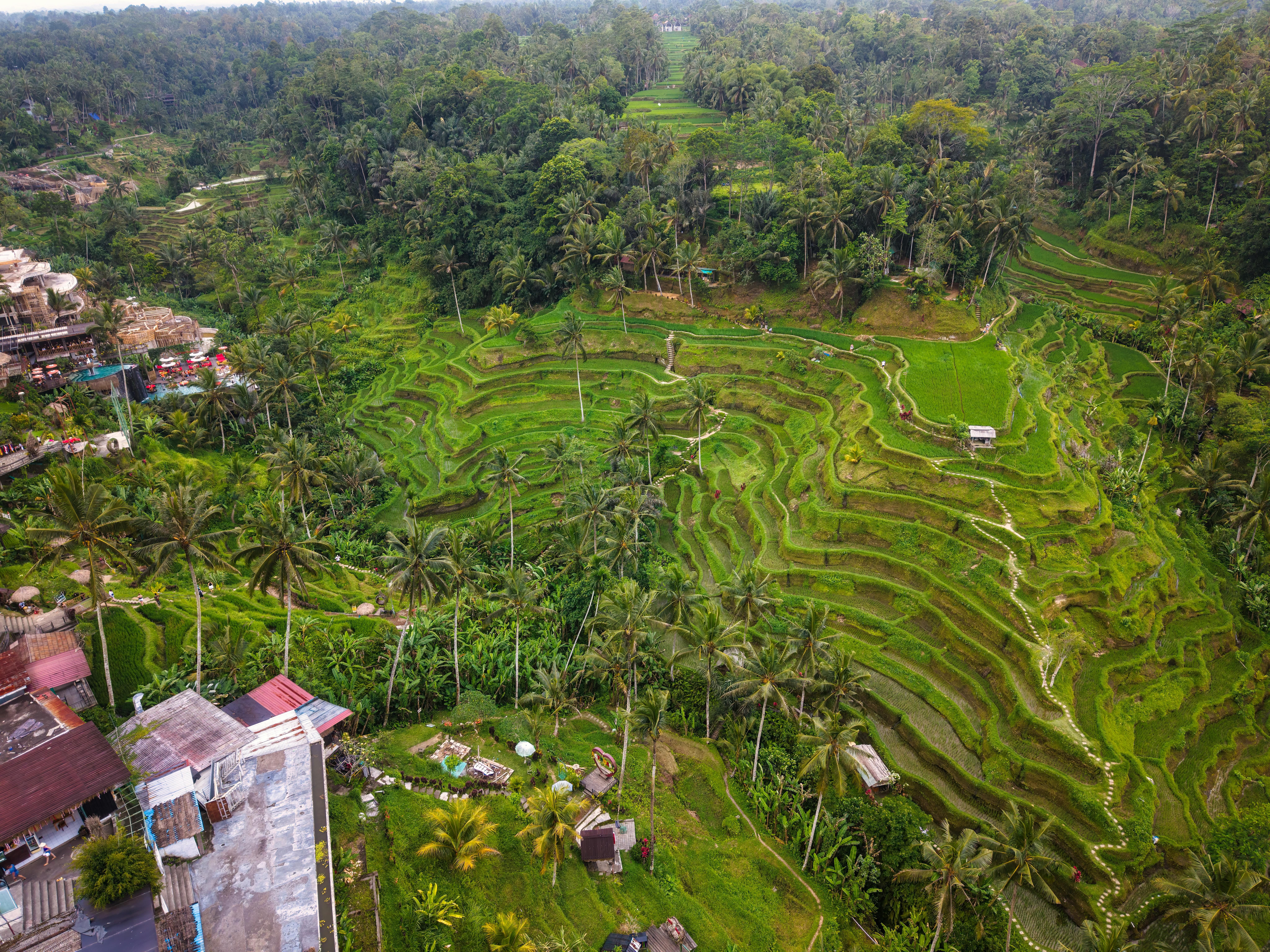 Bali — Breathtaking aerial panorama of lush green rice terraces in Bali, Indonesia, showcasing nature