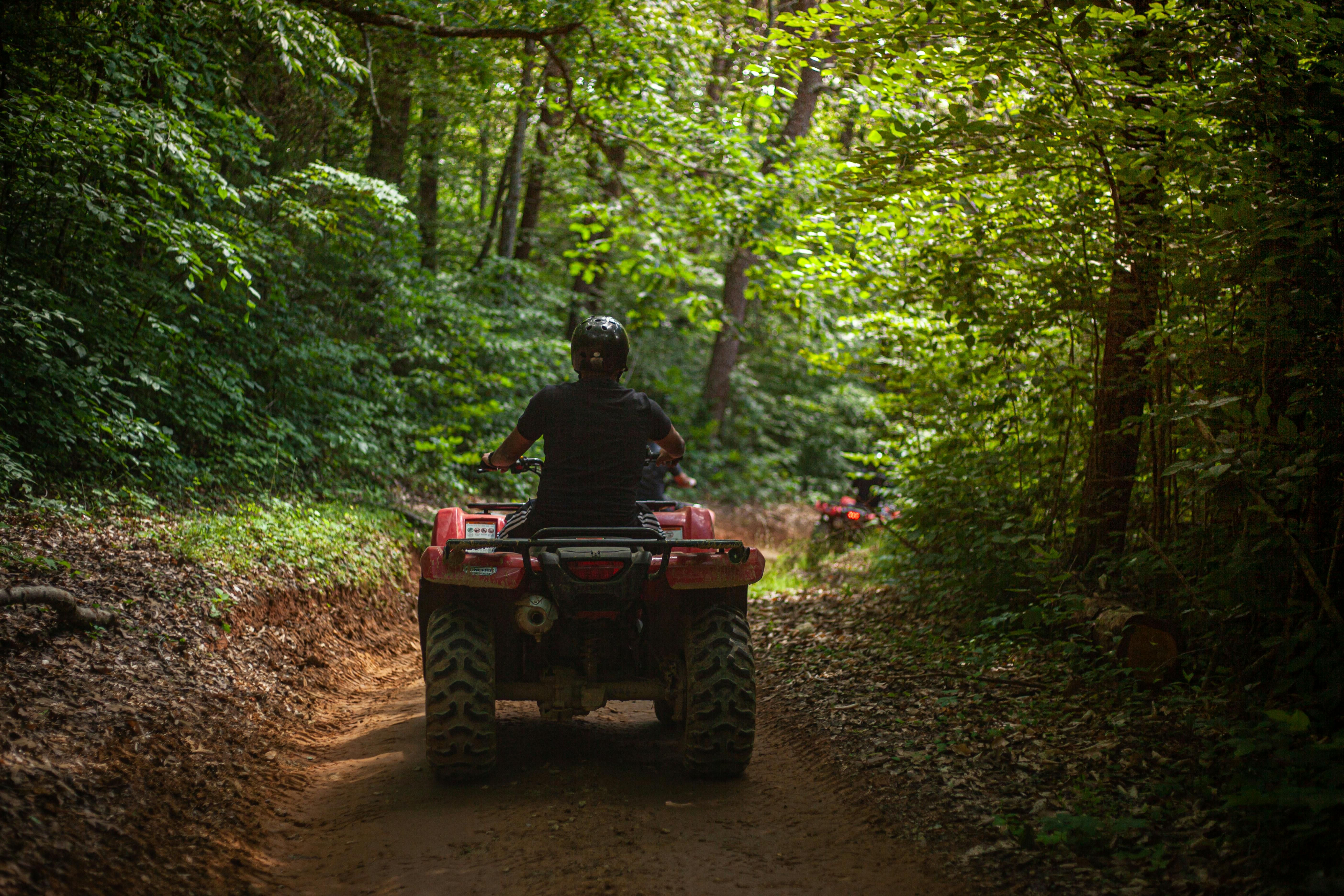 Bali — A person driving an ATV through a lush green forest trail, enjoying an adventurous ride.