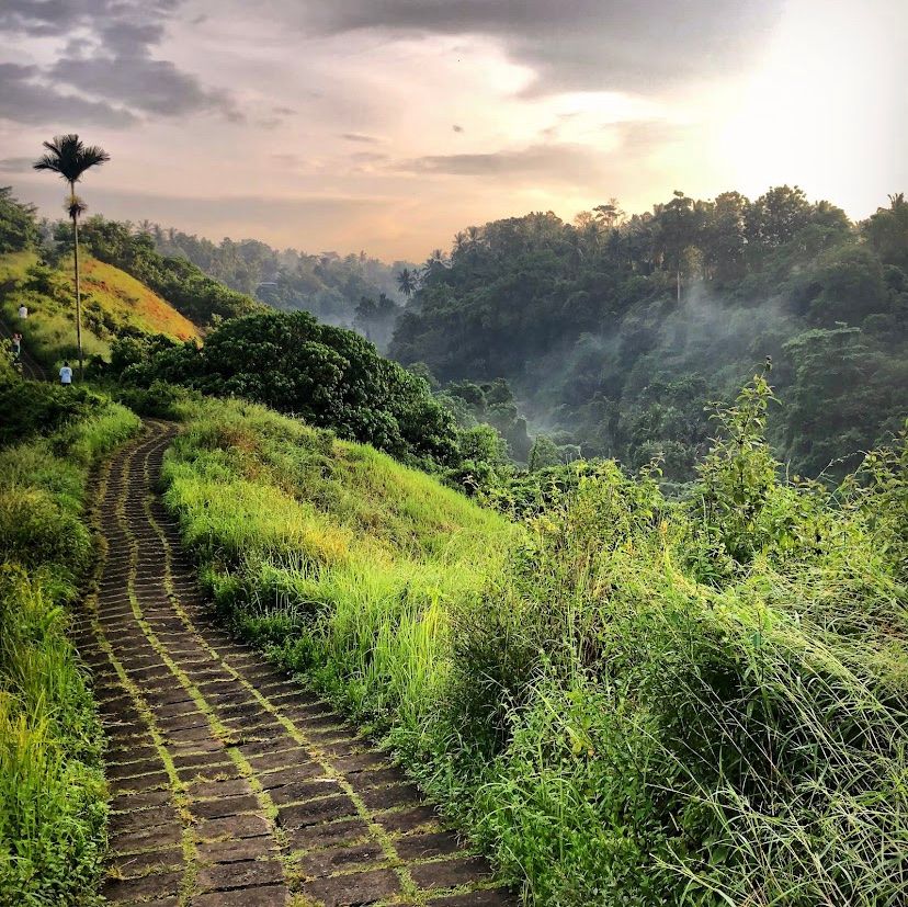 Campuhan Ridge Walk - Ubud