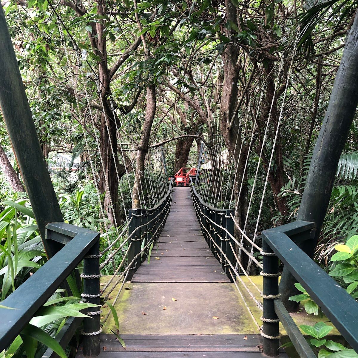 Explore Destinations, Fiji