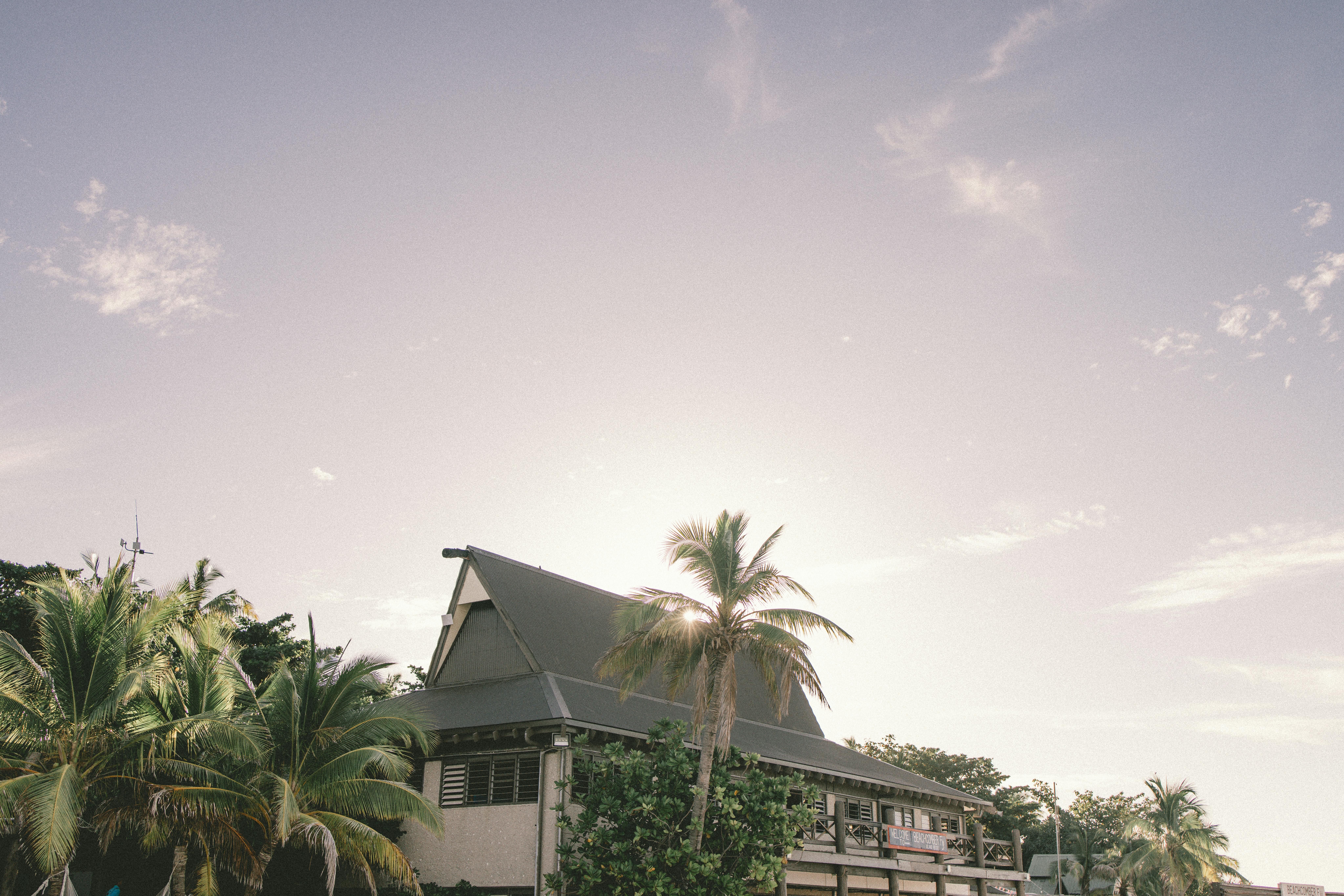 Fiji — A tropical house surrounded by palm trees in Nadi, Fiji, under a bright summer sky.