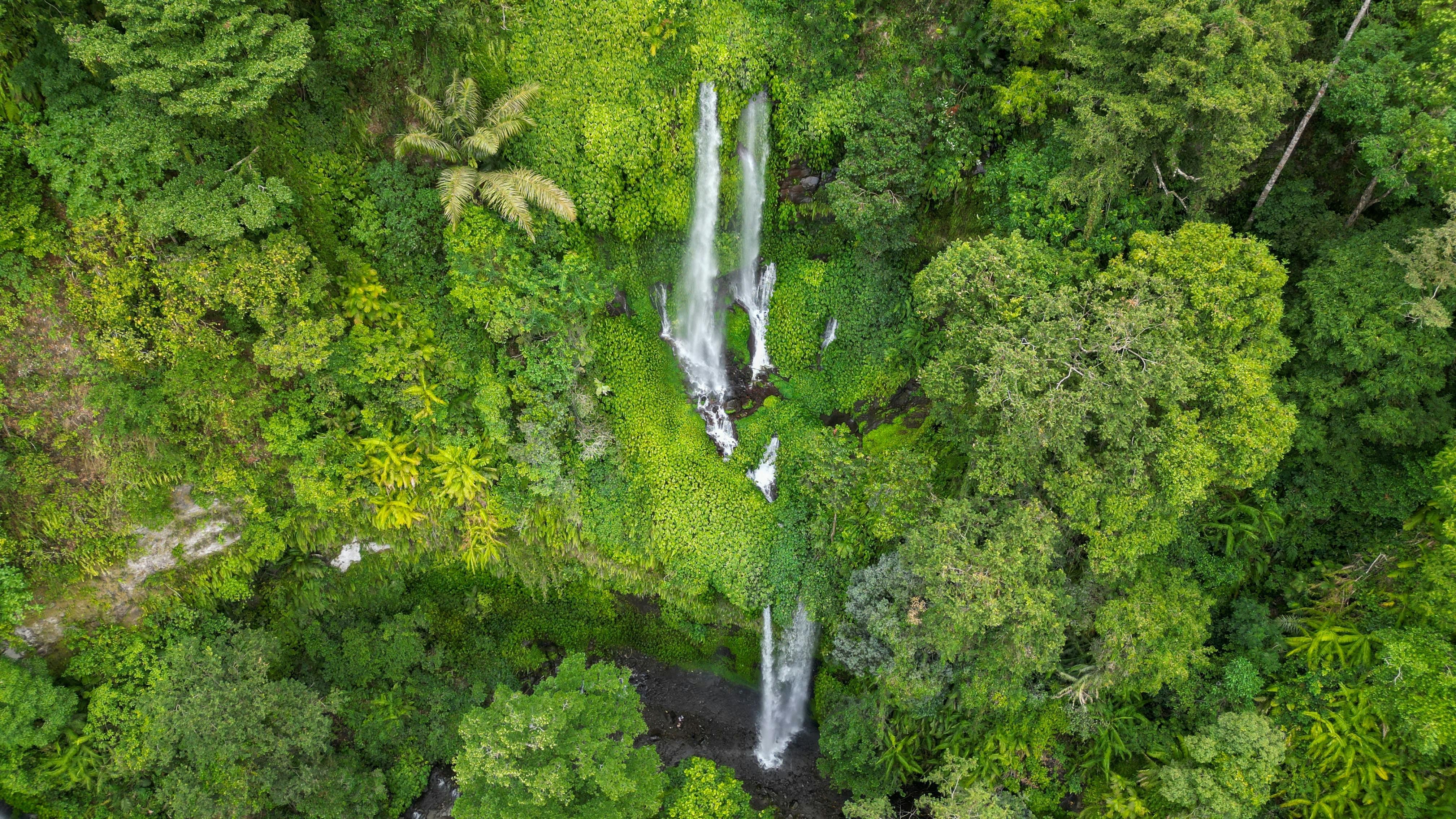 Fiji — Aerial view of a waterfall amidst lush green tropical jungle foliage.