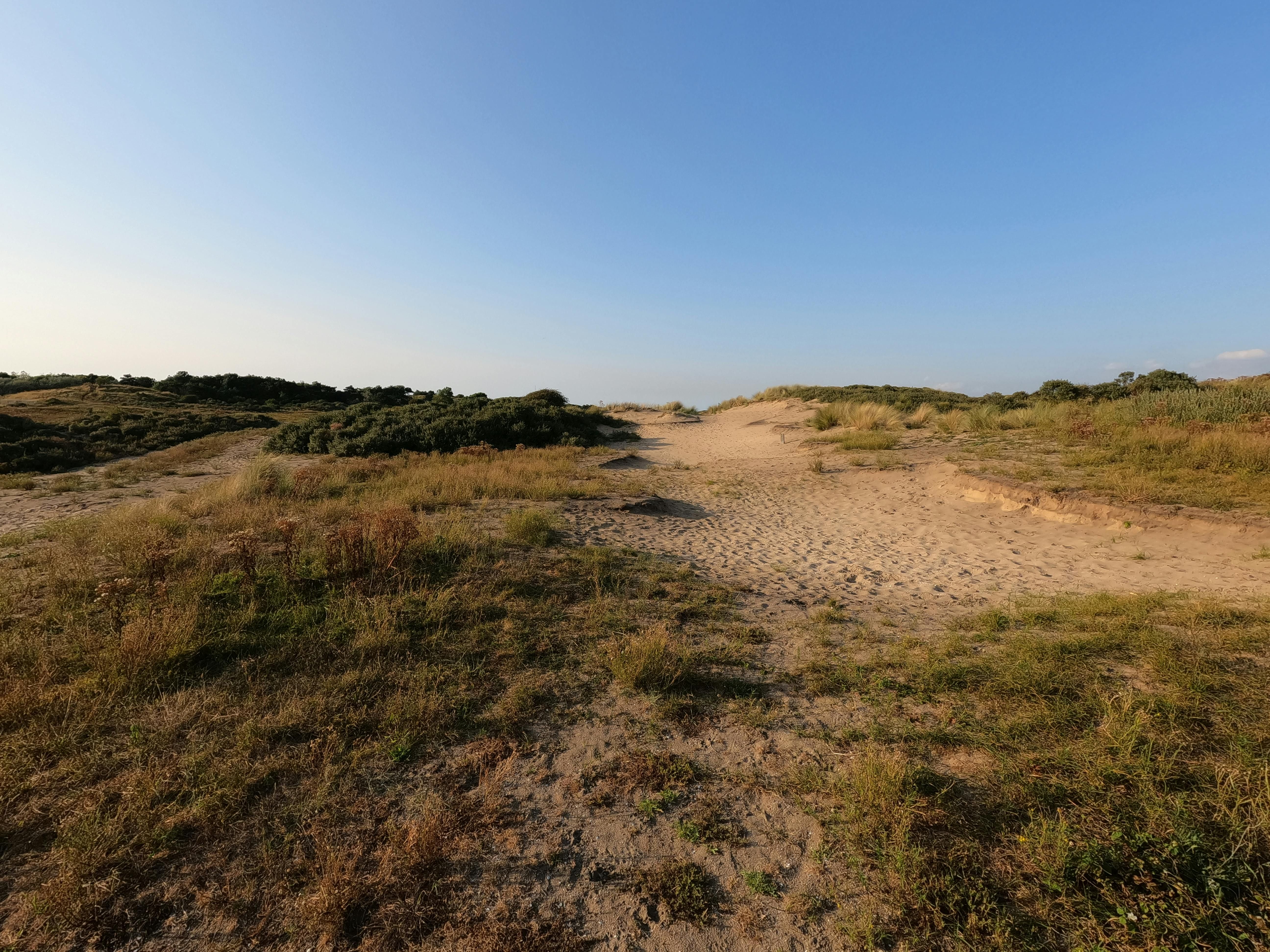 Fiji — Explore the serene sand dunes in Zuid-Holland under a clear blue sky.
