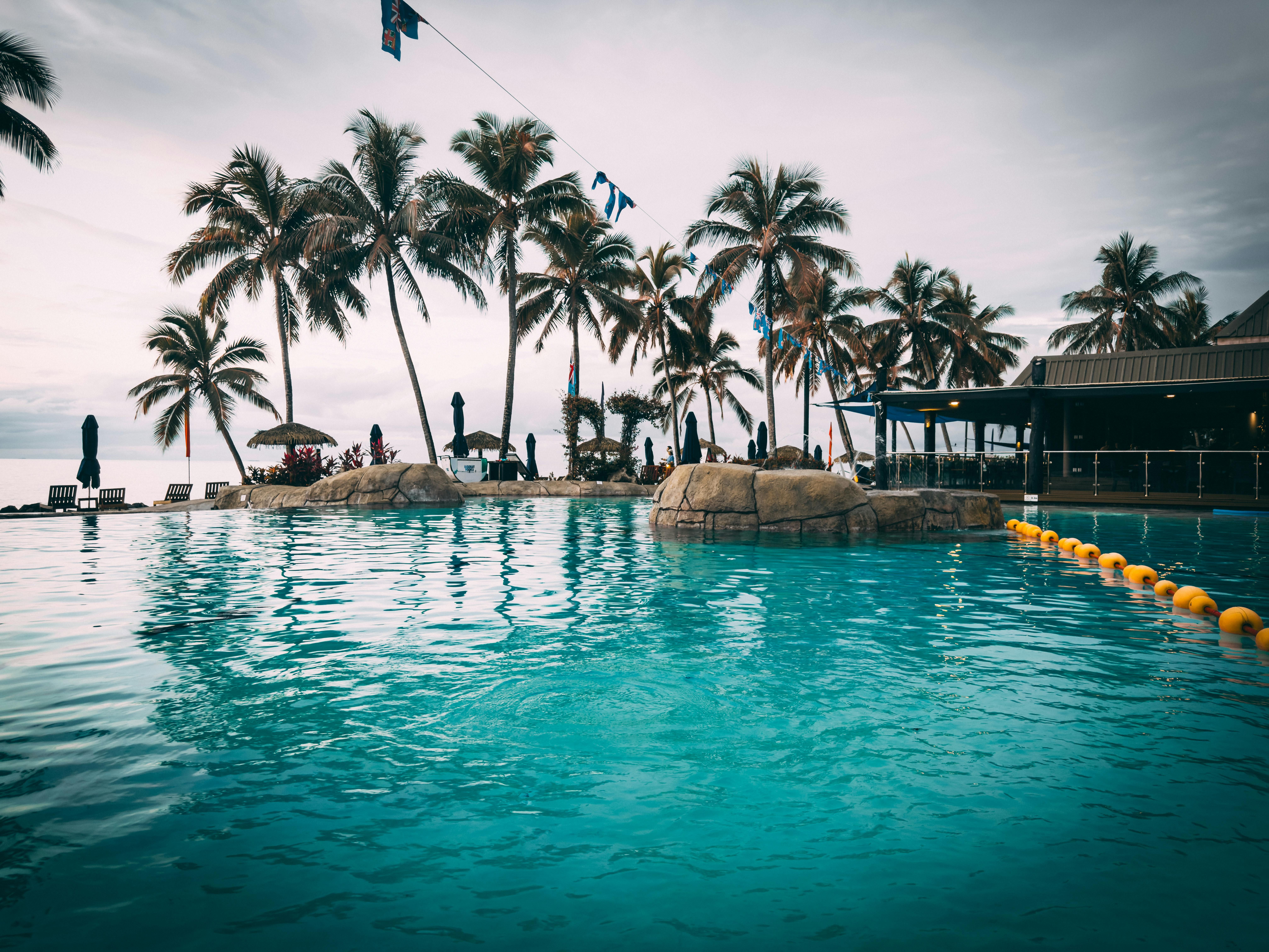Fiji — Stunning poolside with palm trees at a luxurious Fiji resort, perfect for a tropical escape.