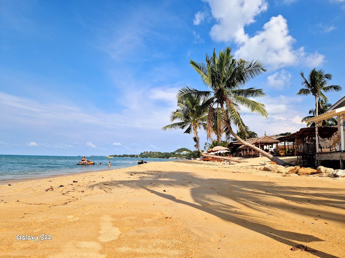 Maenam Beach - Koh Samui - google-places
