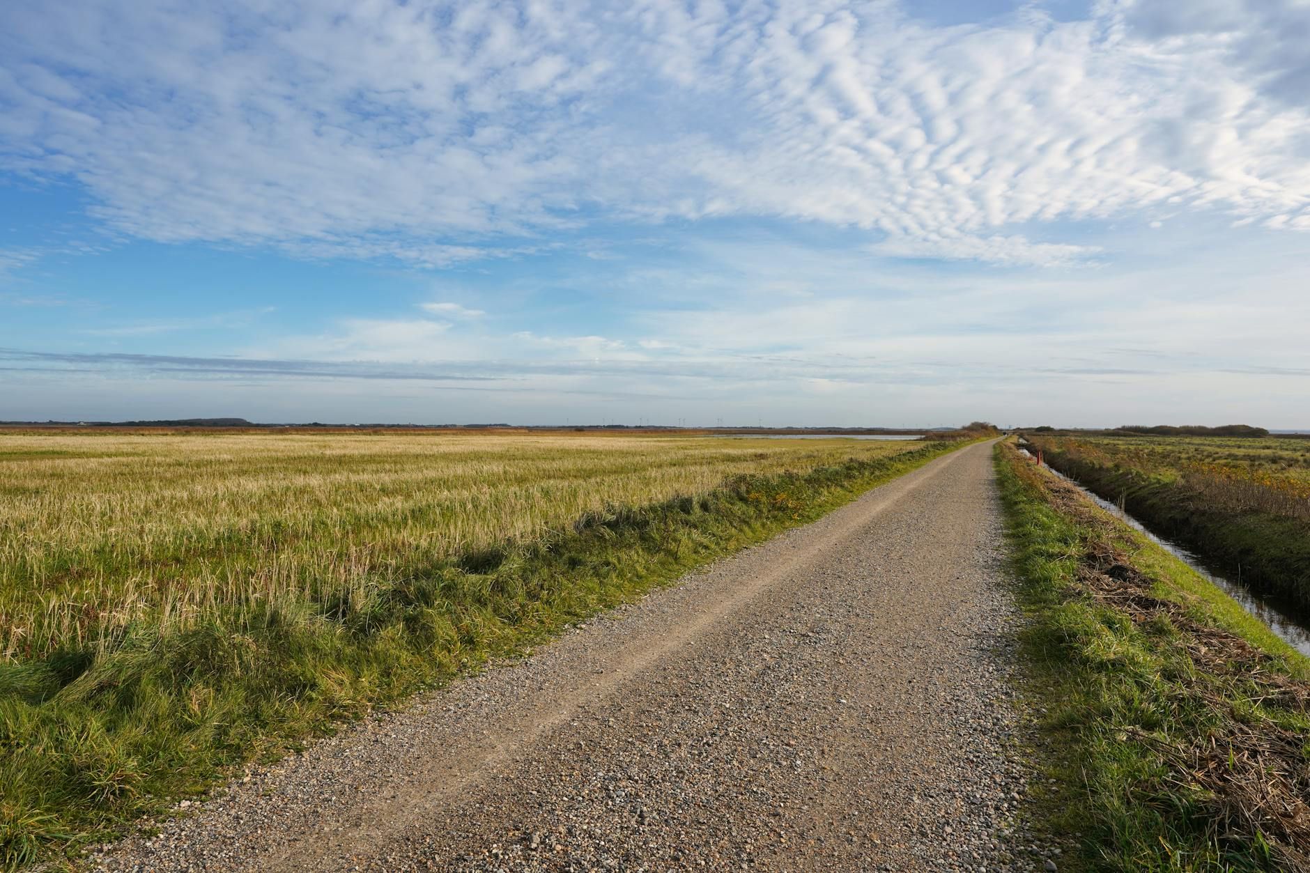 Coastal Lowland Areas - Mexico - inline