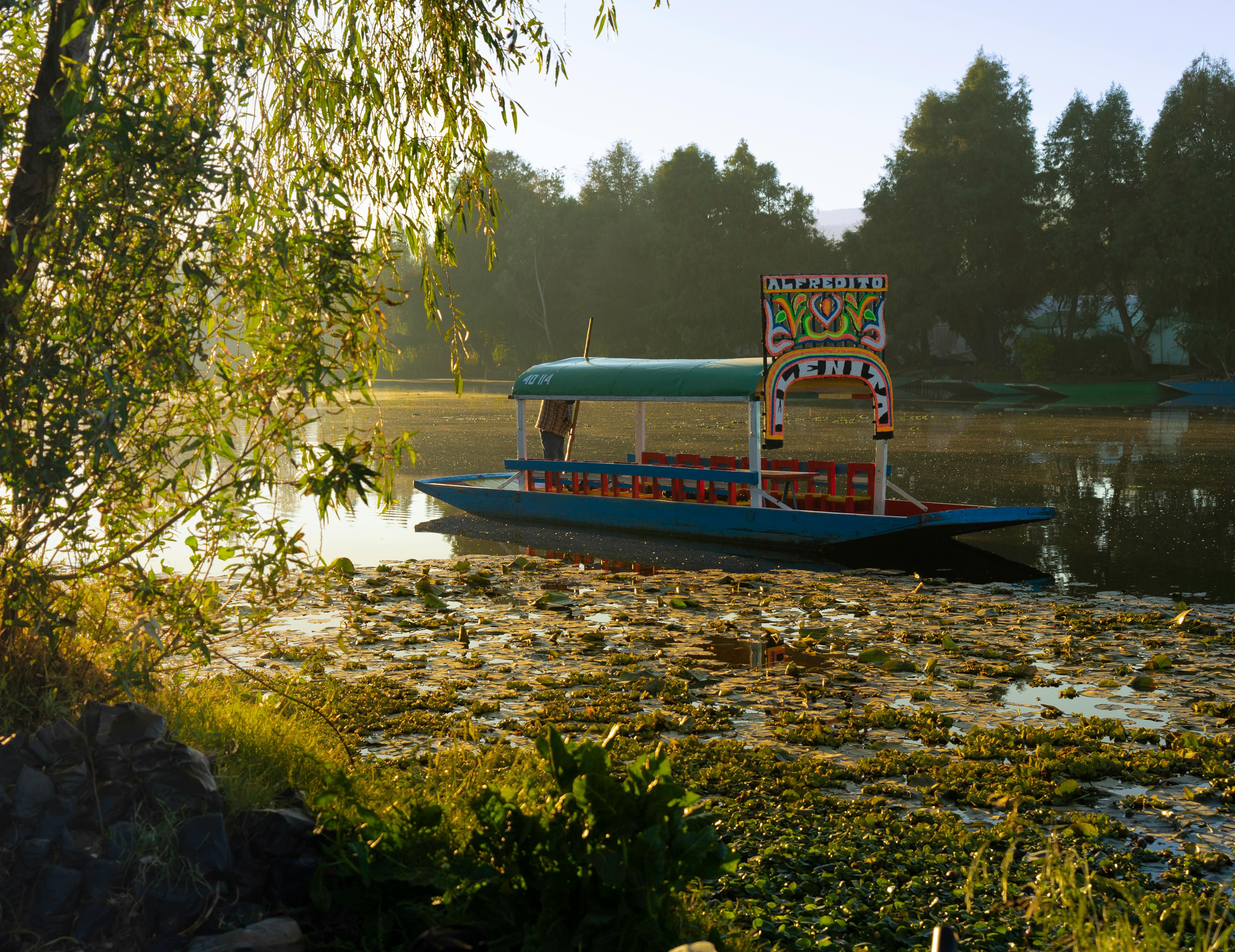 Mexico — A vibrant trajinera floats on the tranquil Xochimilco canals in Mexico City, surrounded by lush greenery.