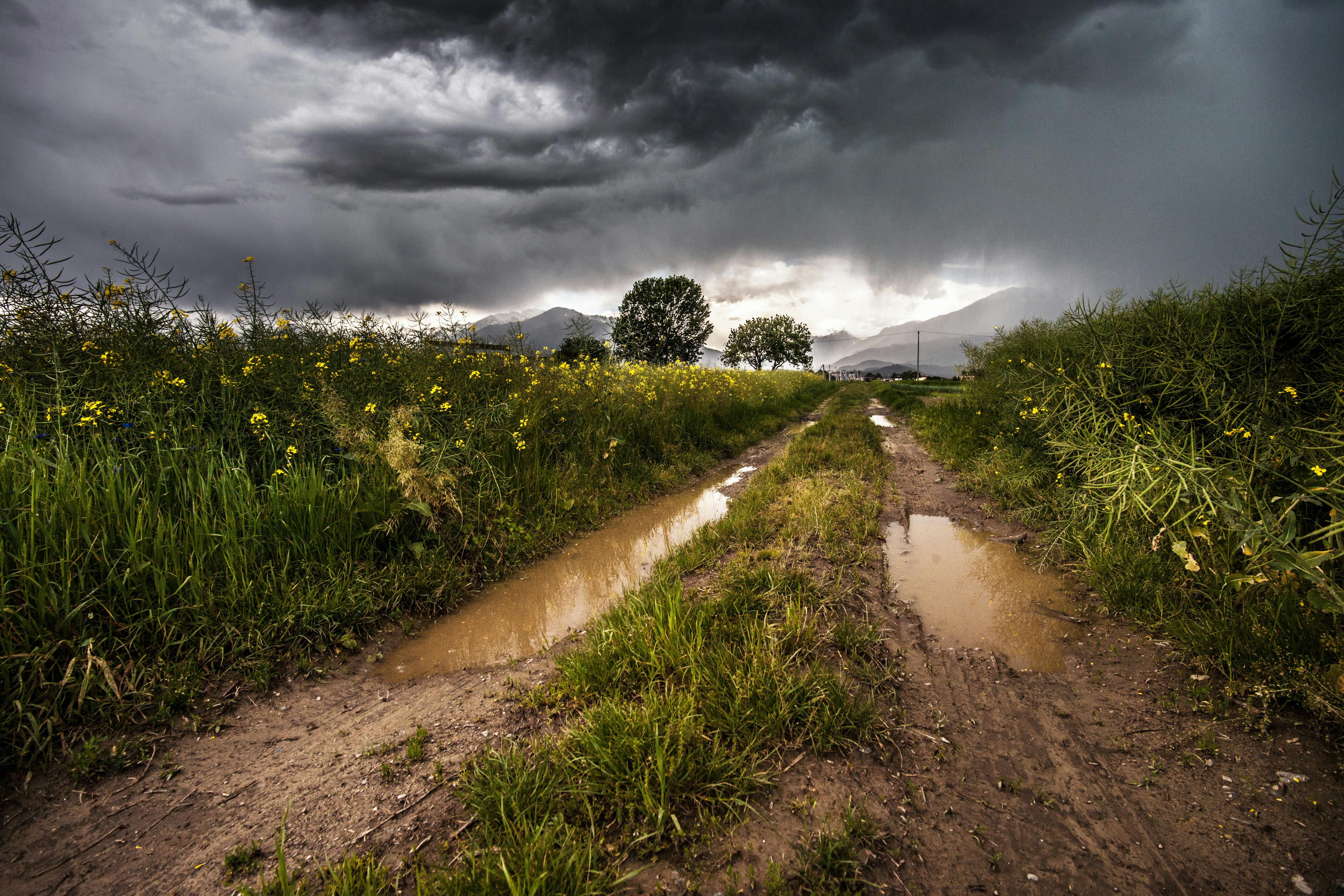 Mexico — Moody rural scene with a muddy track, storm clouds, and vibrant greenery.