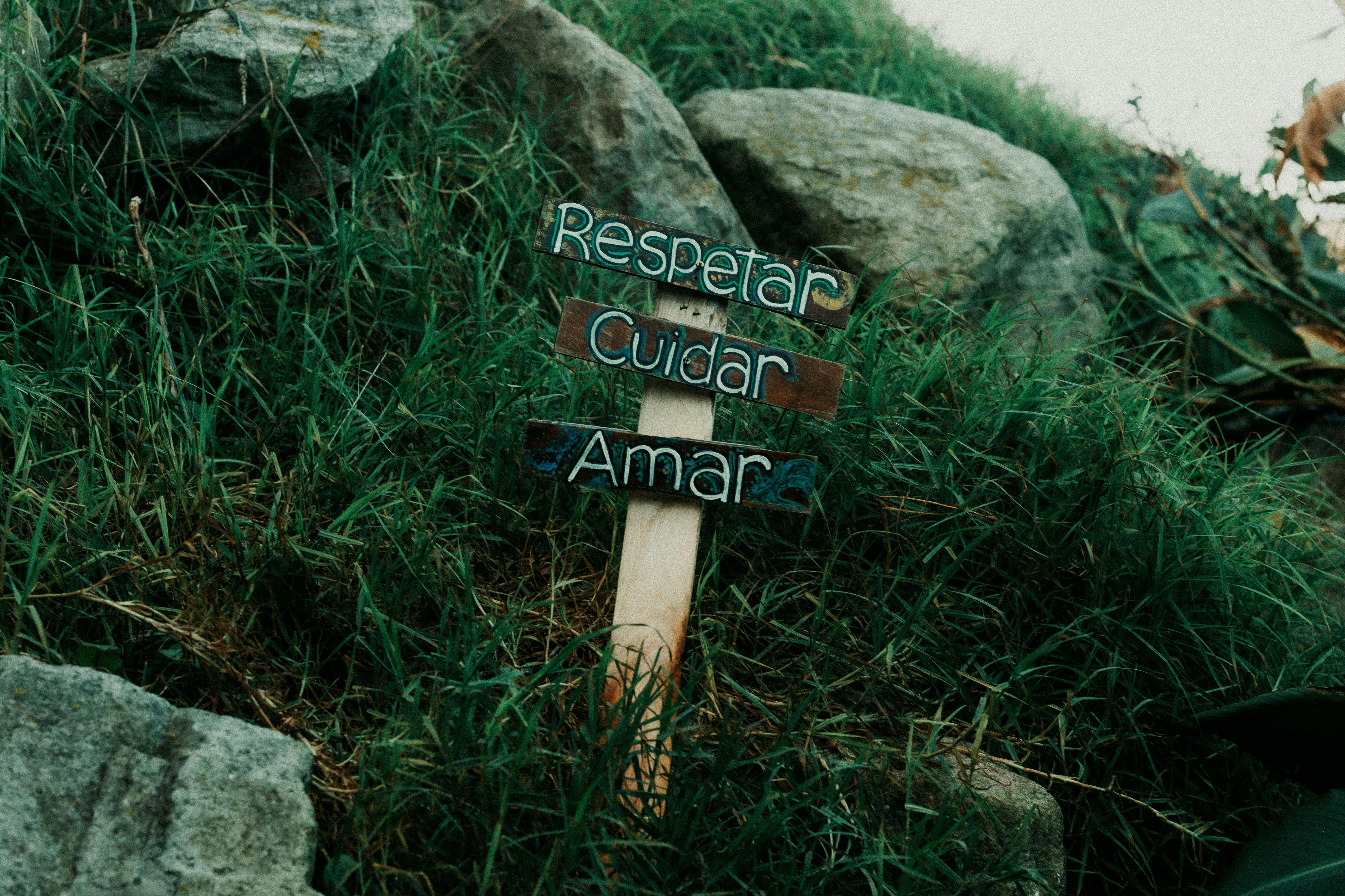 Mexico — A wooden sign with words 'Respetar, Cuidar, Amar' in Spanish, set in grassy terrain.