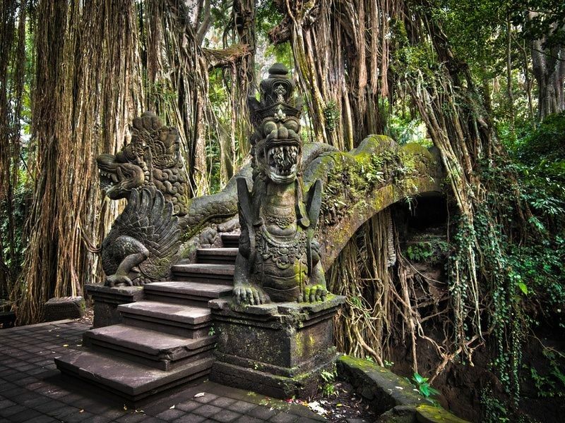 Sacred Monkey Forest Sanctuary - Ubud, Bali