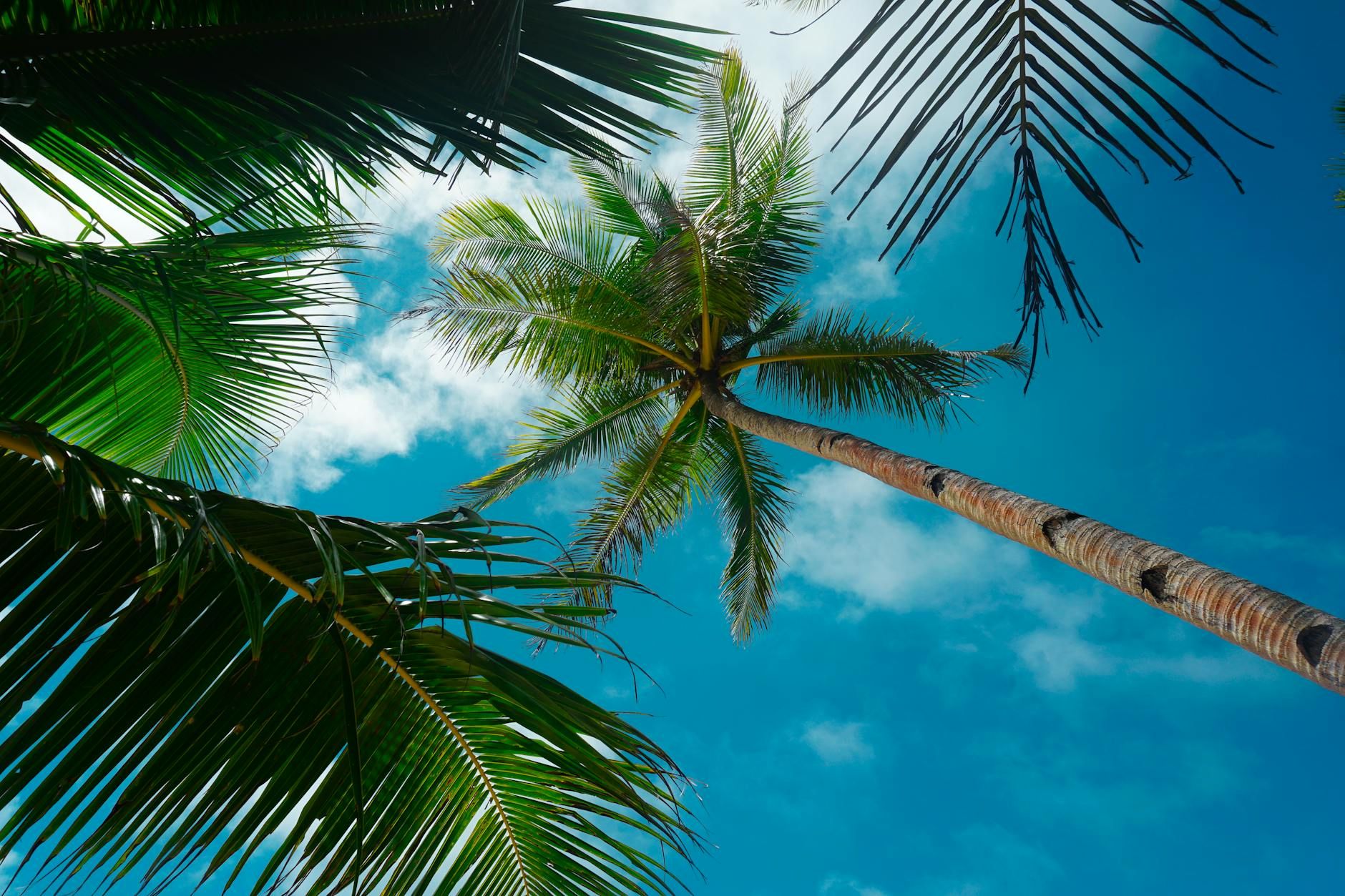 Weather, Southeast Asia