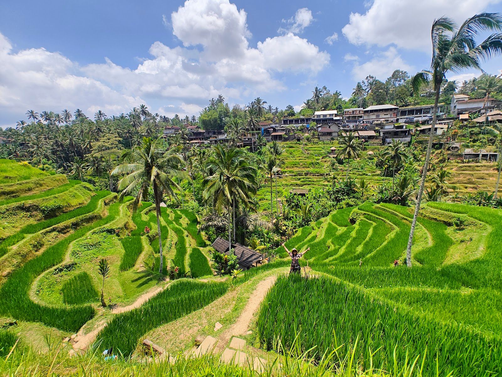 Tegalalang Rice Terrace sunrise Bali