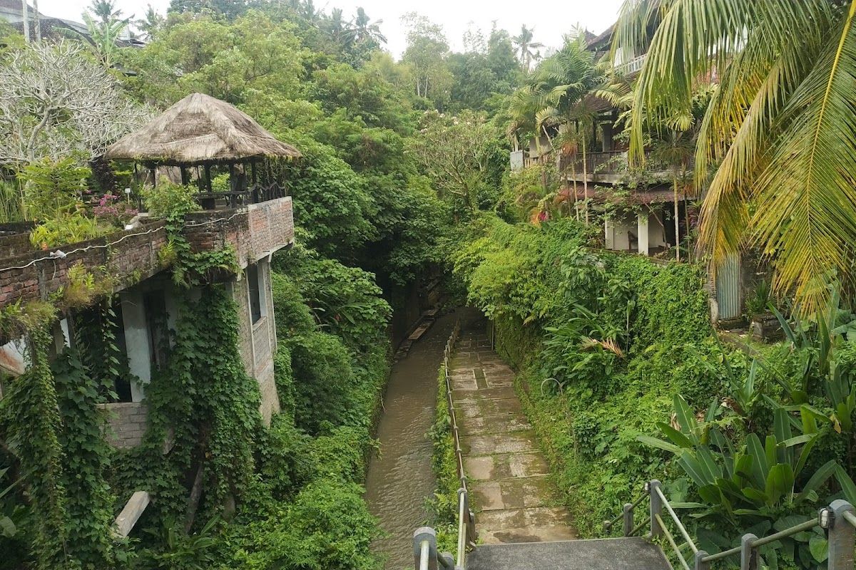 Ubud - Kuta - google-places